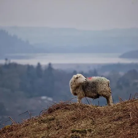 Pillar House * كوكيرماوث